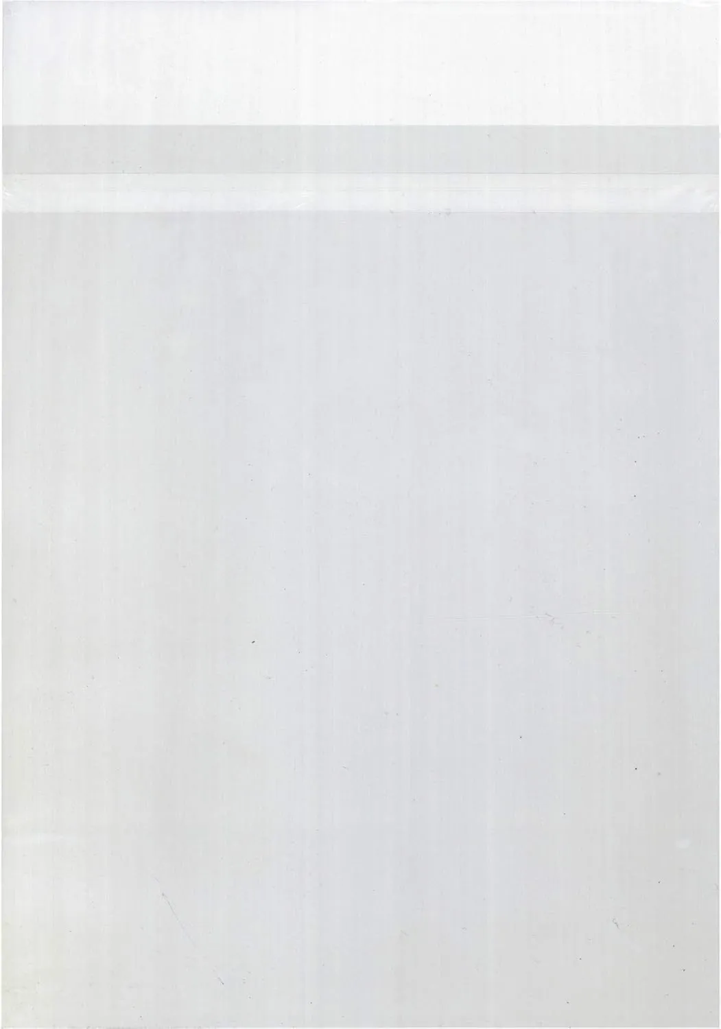 (100) Archival Quality Magazine Sleeves - Crystal Clear Polypropylene - Resealable - Premium 2mil Thick - #MASB02RSTH