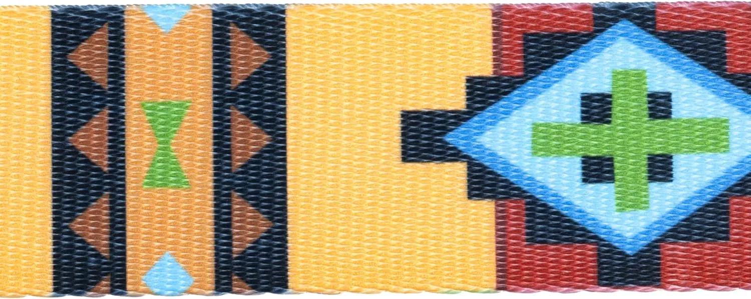 Country Brook Design - Native Arizona Polyester Webbing