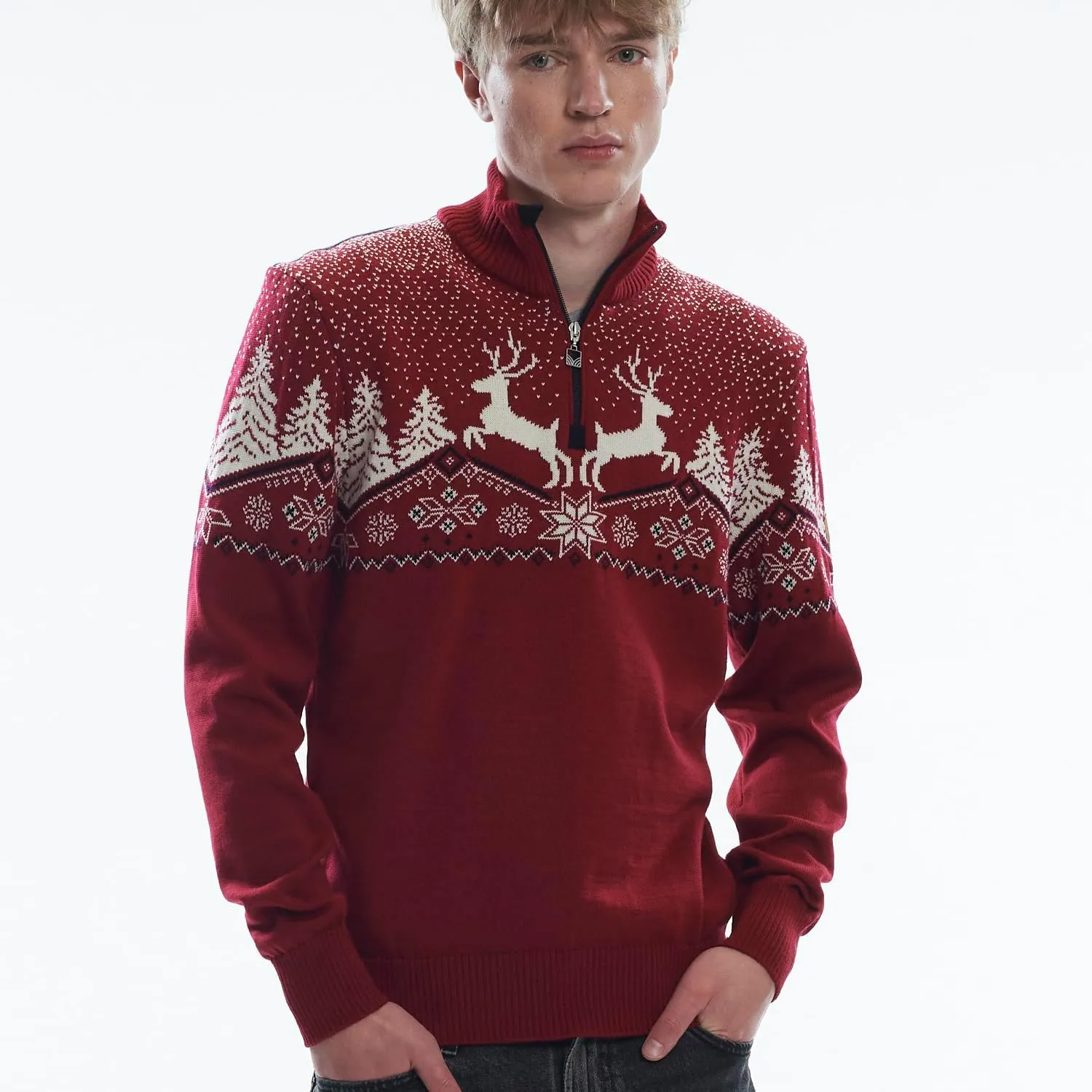 Dale of Norway Christmas Masculine Sweater