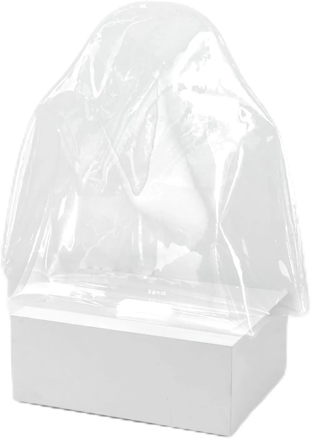 Dust Bags Compatible with Kelly miniⅡ, Clear Dust Cover Bag for Luxury Handbags Purses Handbag, Dustproof Storage Bag with Sticky Dots & Air Hole (miniKEⅡ,20CM)