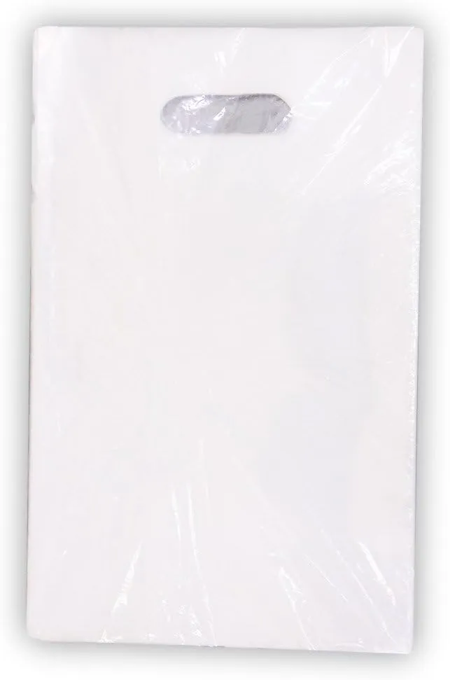 Ehime Paper Work S200-320 Small Clear Bag B5 Size, 100 Sheets, 50 Micron Thickness