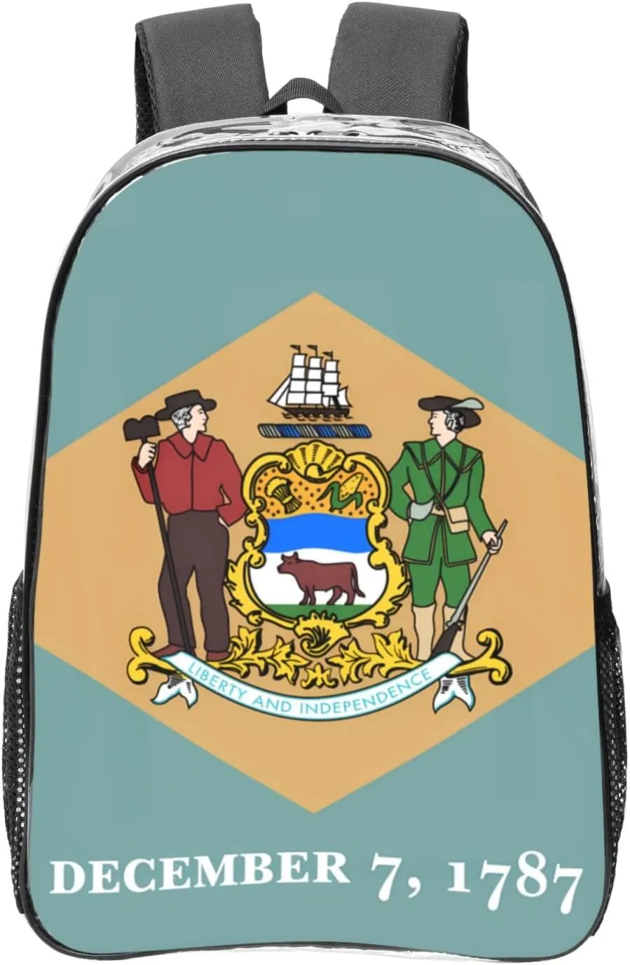 Flag Of Delaware Transparent Backpack-16-Inch Pvc Clear Backpack With Side Pockets,Black
