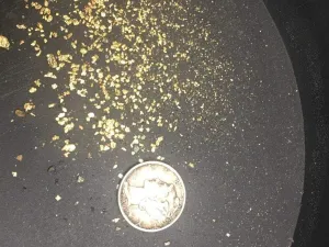 Gold Paydirt 10 LB from Colorado - Special Reserve Blend 2021 - Gold Paydirt Bags - Guaranteed Unsearched Material - Pan At Home - Guaranteed Gold