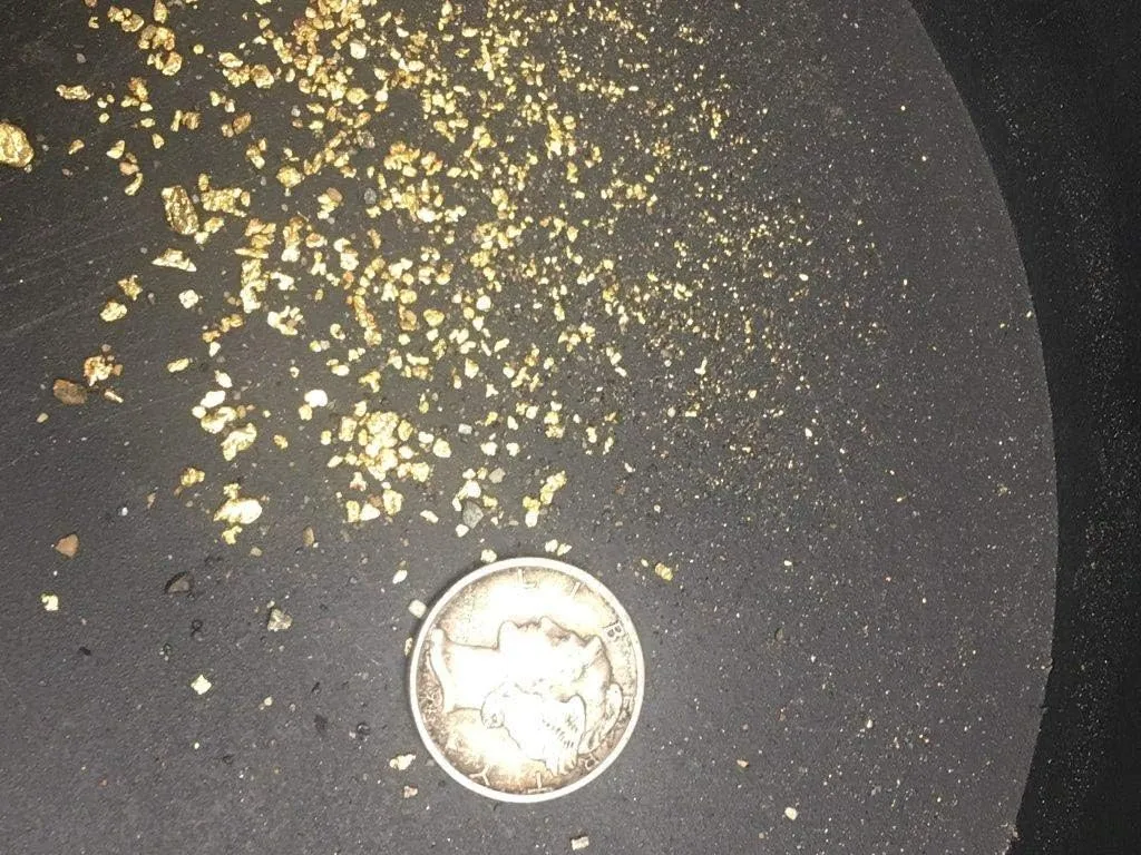 Gold Paydirt 10 LB from Colorado - Special Reserve Blend 2021 - Gold Paydirt Bags - Guaranteed Unsearched Material - Pan At Home - Guaranteed Gold