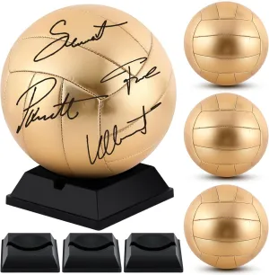 Hiboom Gold Autograph Volleyball with Display Stand Air Pump for Trophies High School College Anniversary Coaching Gift Awards Championship Party