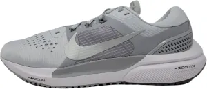 Nike Women's Air Zoom Vomero 15 Running Shoe, Pure Platinum/Metallic Silver, 9 M US