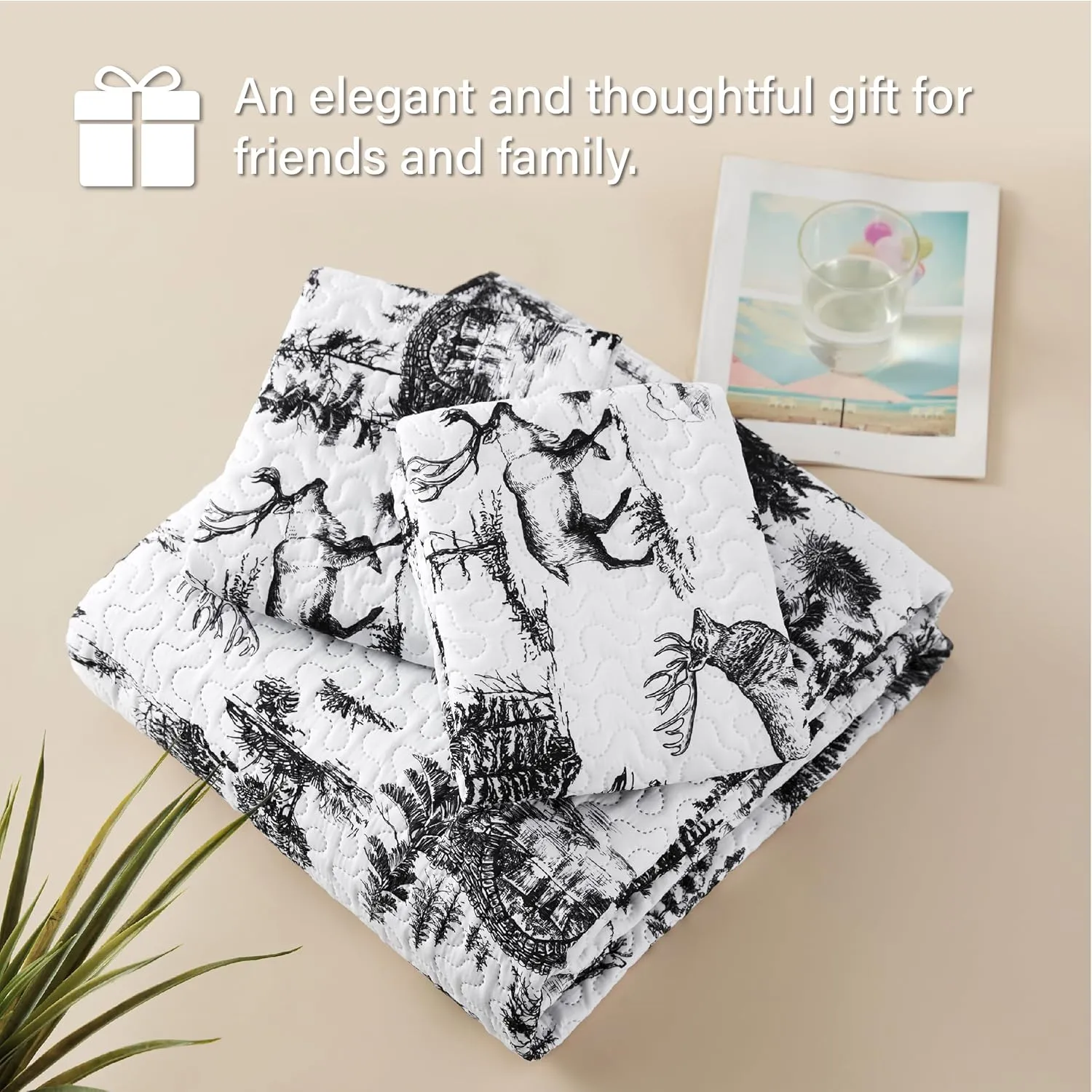 Quilt Sets Queen, 3-Piece Lightweight Reversible All Season White and Black Quilt Set, Bedspread Queen Size Quilt with 2 Shams
