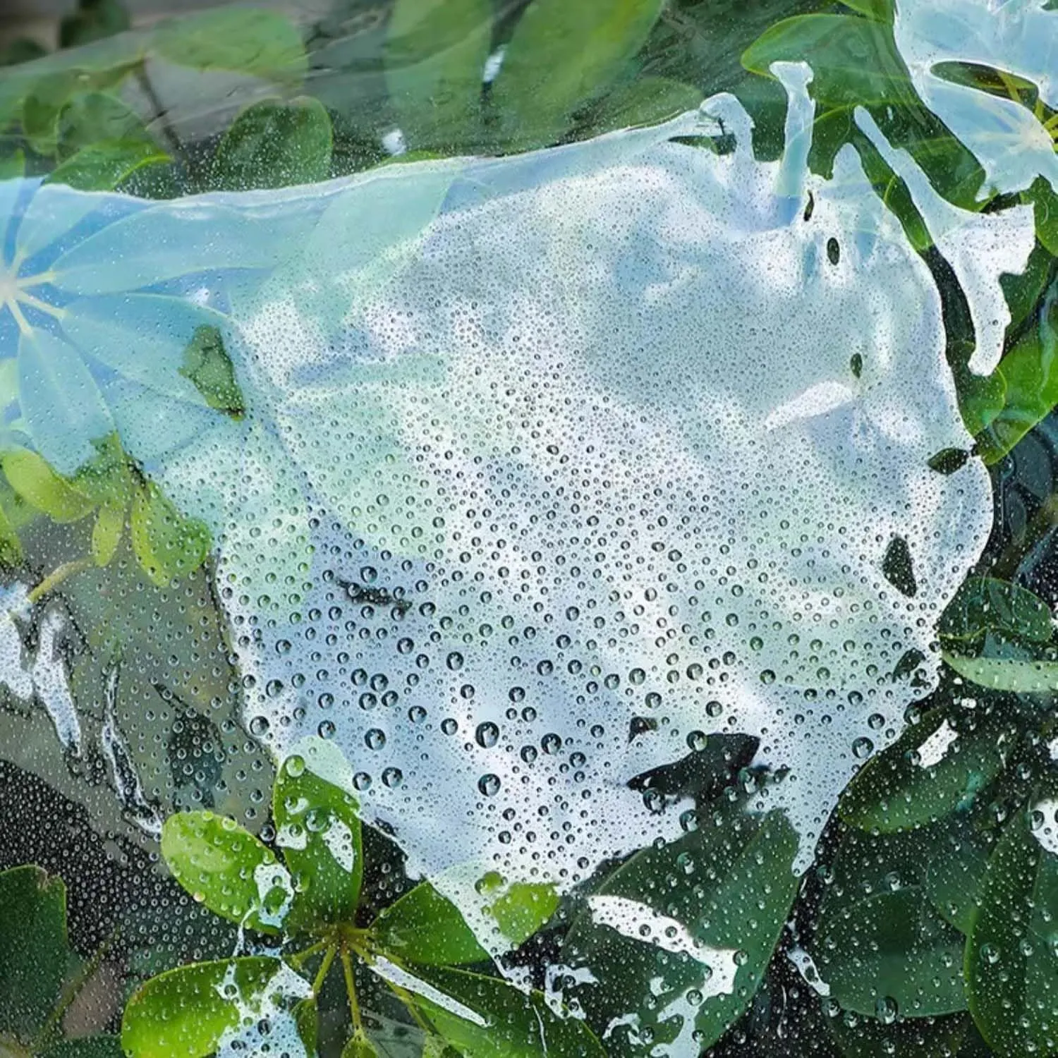 Transparent Heavy Duty Waterproof Tarp 4.9x4.9ft, Clear Tarpaulin, Tarpaulin Waterproof Cover, Clear PVC Cover with Grommets, for Garden & Outdoor