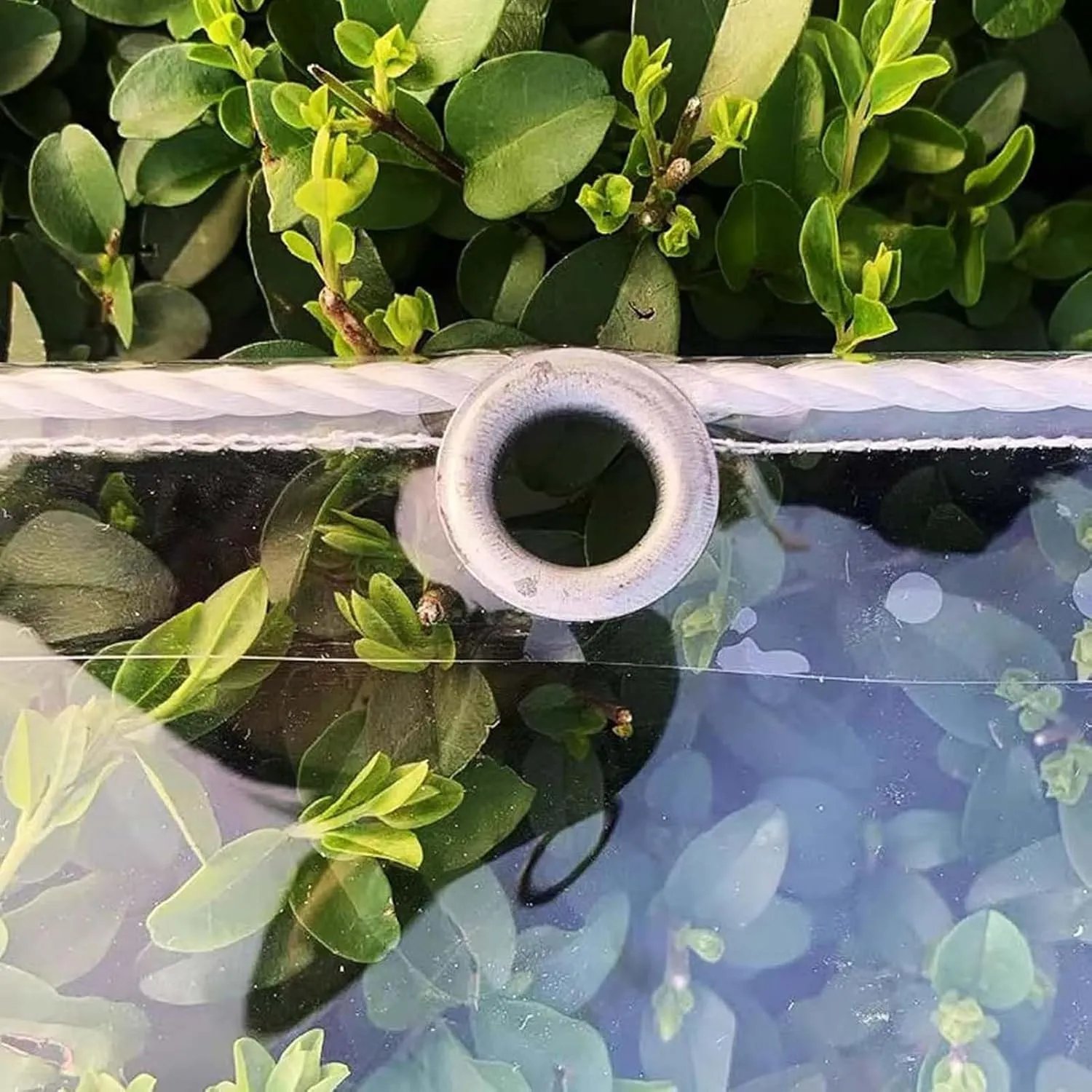 Transparent Waterproof Tarpaulin 2.6x6.6ft, Tarp Plastic PVC Clear, Heavy Duty Waterproof Clear Tarp with Grommets, for Outdoor/Camping/Garden