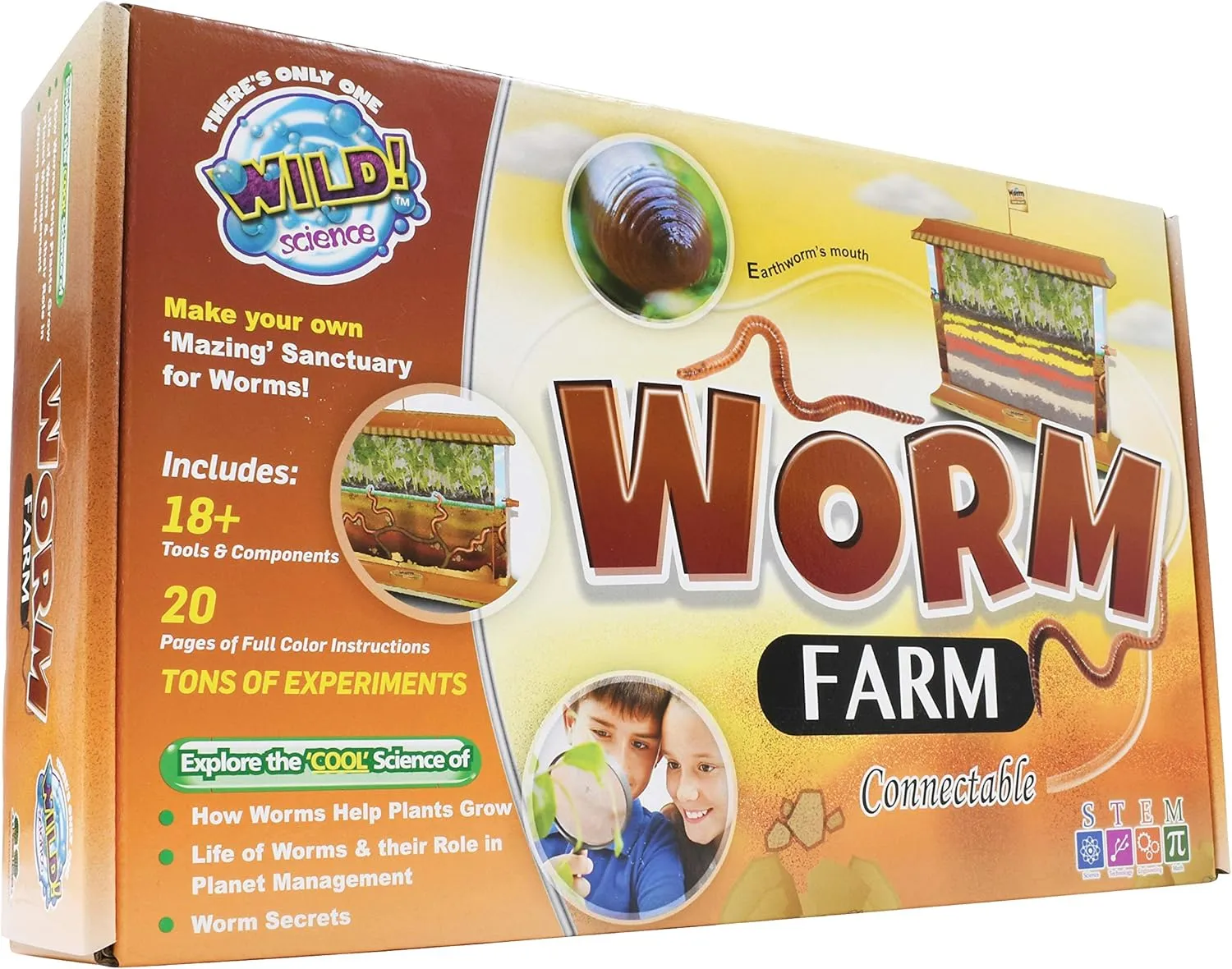 WILD! Science - WS27 Worm Farm - Ages 6  - In Home Learning Science Kit - Easy Assembly - Worm Farm, Colored Sand, Accessories and Education & Instruction Booklet