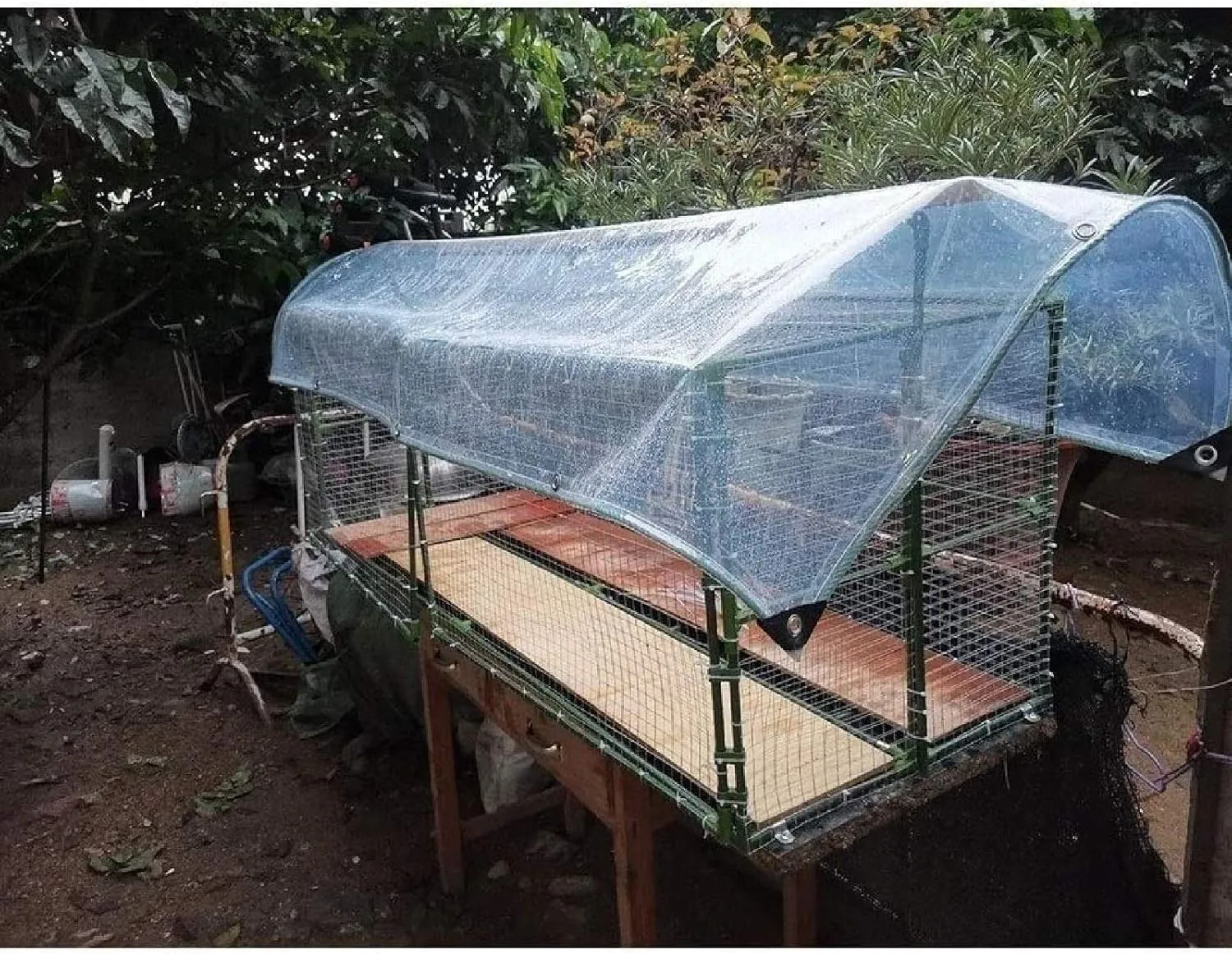 ZHANGQINGXIU Transparent PVC Tarpaulin, Waterproof Tent Cover, 12mil Thickness Tear Resistant Rubber Reinforced Angle Includes Grommets Every 1.6 'on All Sides (Color : Clear, Size : 1x2m)